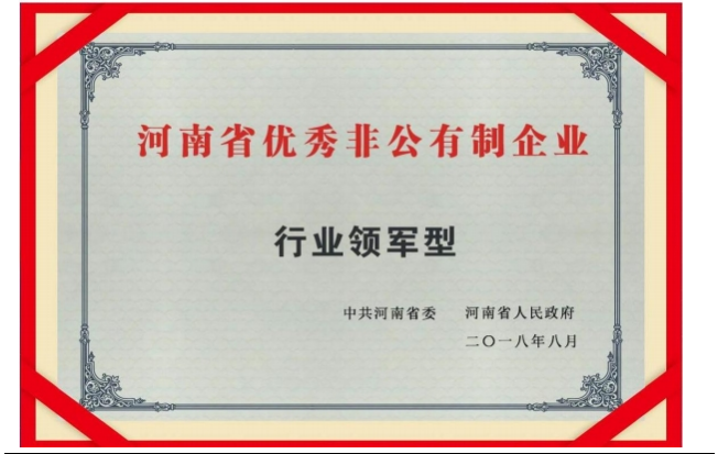 行業(yè)領(lǐng)軍型企業(yè)