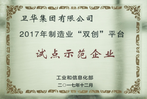 雙創(chuàng)平臺(tái)試點(diǎn)示范企業(yè)